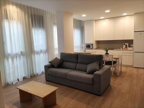 salon z kanapą i kuchnią w obiekcie Iberflat Apartamentos Trinidad w mieście Castellón de la Plana