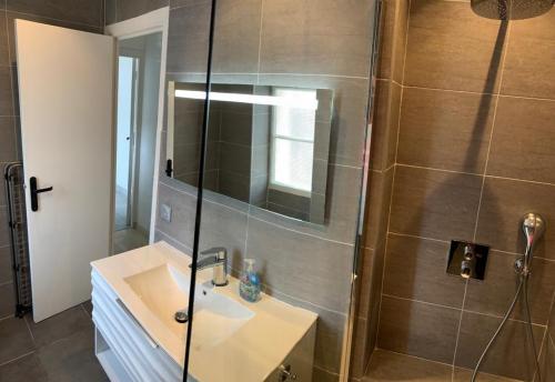 une salle de bain avec un lavabo et une douche dans l'établissement Beautiful Apartment 2mn walking distance from La Croisette and The Beach, à Cannes