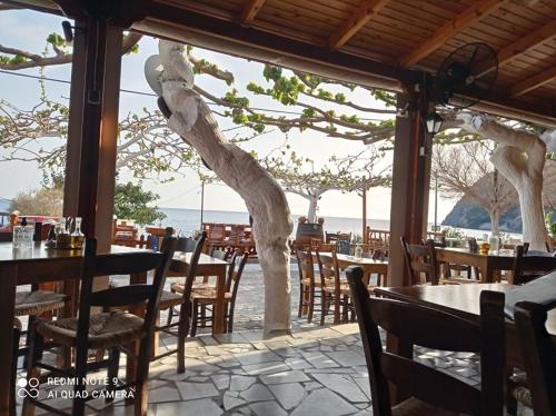 a restaurant with tables and chairs and a tree at Faragi in Agia Roumeli