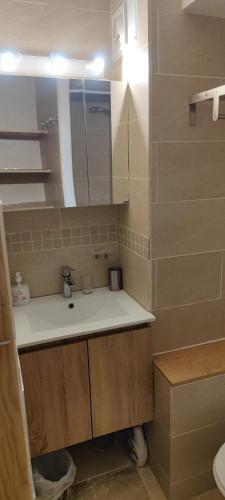 une salle de bain avec un lavabo et un miroir dans l'établissement Studio cabine île des Pêcheurs cap d'Agde Tennis, au Cap d'Agde