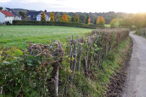 a fence on the side of a road at Auberge A gen Kirk B&B in Vijlen