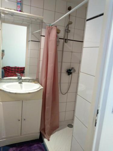 une salle de bain avec un lavabo et une douche avec un miroir dans l'établissement logement indépendant à 20 mn du coeur de Paris, à Clichy