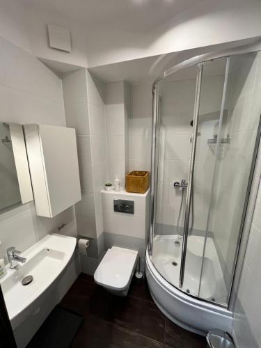 La salle de bains est pourvue d'une douche, de toilettes et d'un lavabo. dans l'établissement Apartament Love Góry Karpacz Centrum, à Karpacz