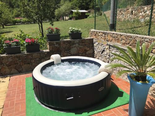 a large hot tub in a yard with a potted plant at Ca' de Paggia in Savona