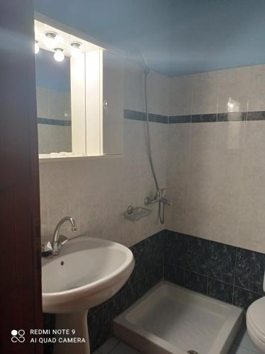 a bathroom with a sink and a toilet and a shower at Faragi in Agia Roumeli