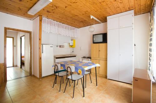 kuchnia ze stołem, krzesłami i lodówką w obiekcie Penzion Přehrada** w mieście Vranov nad Dyjí