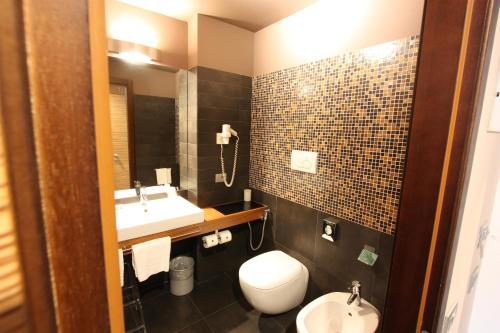 a bathroom with a sink and a toilet and a mirror at Hotel Europa Belluno in Belluno