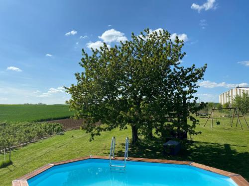 une piscine extérieure avec un arbre et une aire de jeux dans l'établissement Le Maquis, à Charmes
