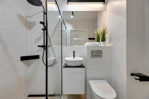 a bathroom with a shower and a toilet and a sink at BURSZTYNOVA Apartamenty Piamola in Kąty Rybackie
