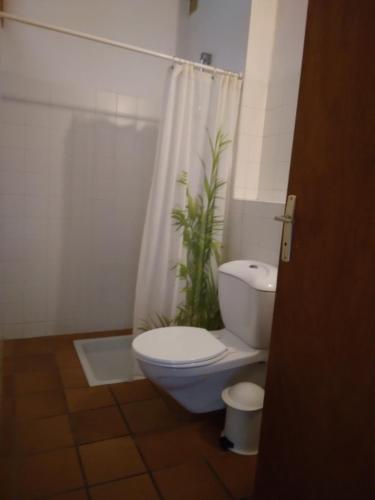 La salle de bains est pourvue de toilettes et d'une douche avec une plante. dans l'établissement LE PETIT FROUAS CENTRE, à Vielle-Saint-Girons