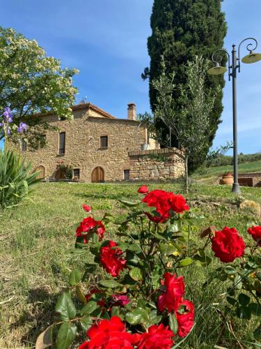 un grupo de rosas rojas delante de una casa de piedra en Agriturismo Casallario, en Volterra