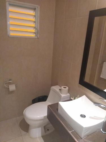 Un baño con inodoro, lavabo y espejo. en Hotel Anber, en Dolores Hidalgo