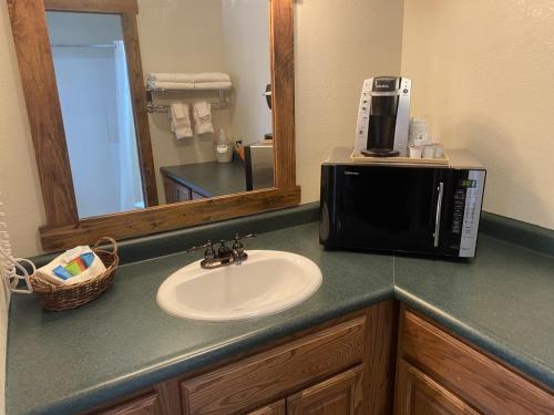 a bathroom counter with a sink and a microwave at South Platte Cabins & Kennels in Ogallala