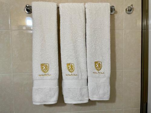 2 handdoeken hangen in een badkamer bij Hotel Avila in Valladolid