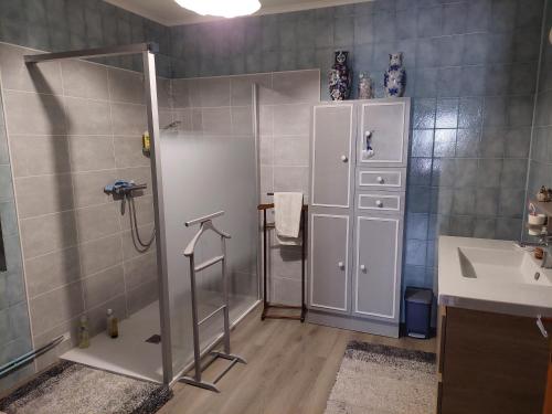 een badkamer met een douche en een wastafel bij Maison au coeur de la campagne jurassienne in Beauvoisin