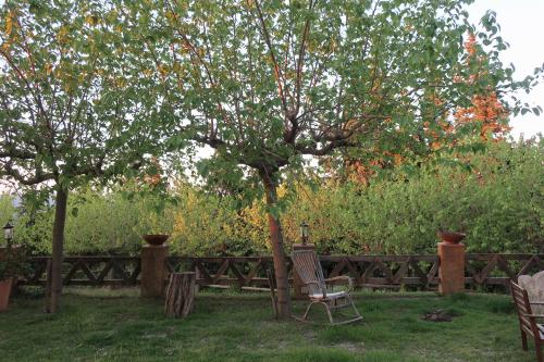 a chair under a tree next to a wooden fence at Masia Sagués in Poblet