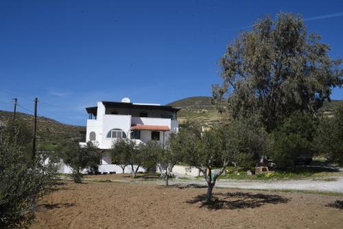 Bernie House 2