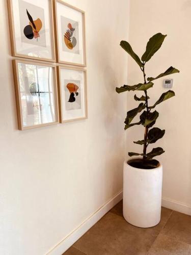 a plant in a white vase in a room at Tatala Hotel & Garden in Tepoztlán