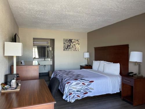 a hotel room with a bed and a desk at Red Roof Inn LaGrange in LaGrange