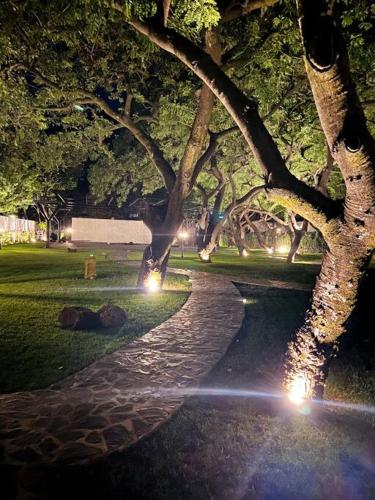 a walkway with lights in a park at night at Tatala Hotel & Garden in Tepoztlán