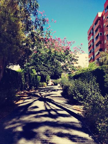 Casablanca Mediterranean photo 51