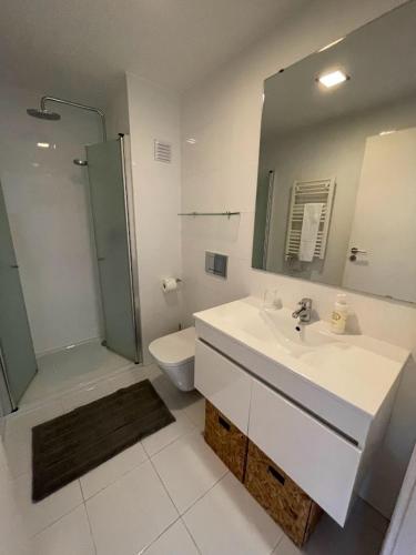 a bathroom with a sink and a shower and a toilet at Mezzanine Apartment in Guimarães