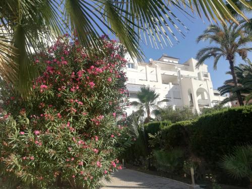 Casablanca Mediterranean photo 48