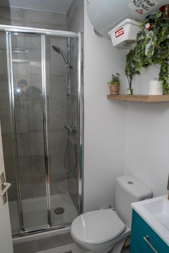 une salle de bain avec douche et toilettes dans l'établissement Appartement avec jardin, à Sanary-sur-Mer