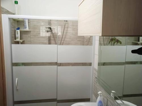 ein Bad mit einer Dusche, einem WC und einem Waschbecken in der Unterkunft Perla di mare in Montesilvano