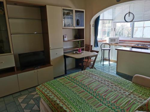 A kitchen or kitchenette at Monolocale Ischia Isola Verde