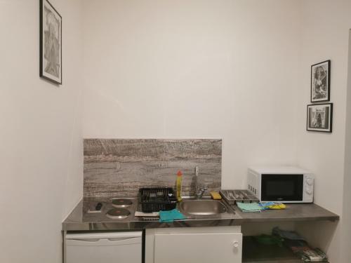 un comptoir de cuisine avec un évier et un micro-ondes dans l'établissement Appartement cozy en plein centre ville, à Amiens