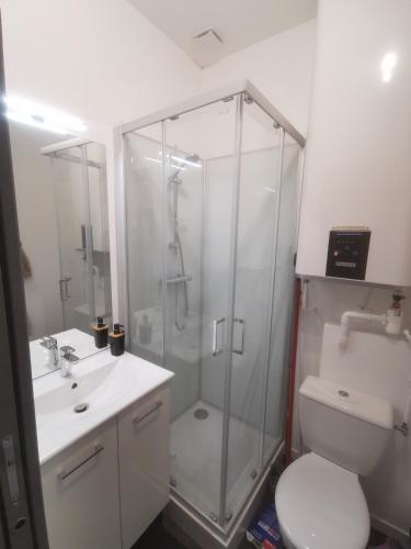 une salle de bain avec une douche, des toilettes et un lavabo dans l'établissement Appartement cozy en plein centre ville, à Amiens