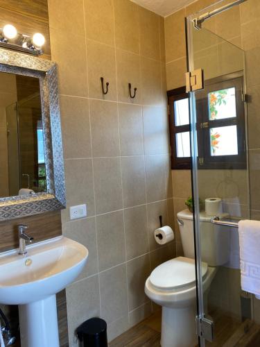 a bathroom with a toilet and a sink and a mirror at Parador de Antigua in Antigua Guatemala