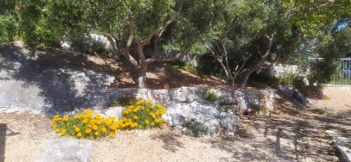 Taman di luar Kuća Jakov