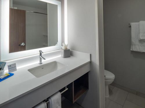 Een badkamer bij Holiday Inn Express & Suites - Little Rock Downtown, an IHG Hotel