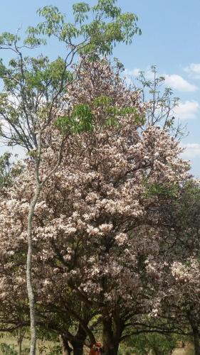 Galería fotográfica de Pousada Campestre Sítio da Lua en Camanducaia