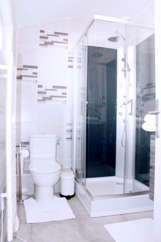 a white bathroom with a toilet and a shower at Saint Etienne : appartement Châteaucreux 40 M2 in Saint-Étienne