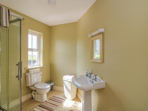 a bathroom with a toilet and a sink at Josie's House in Fethard on Sea