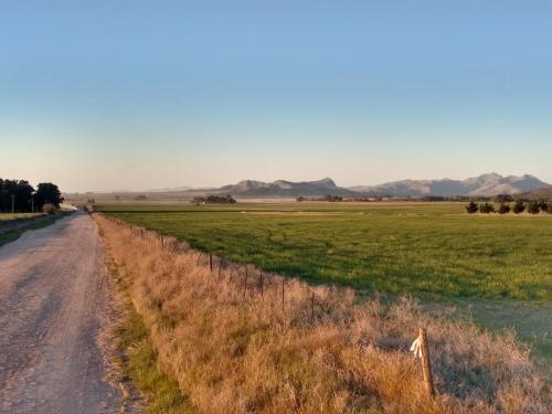 La Luisa, en Llohue – Photos 3