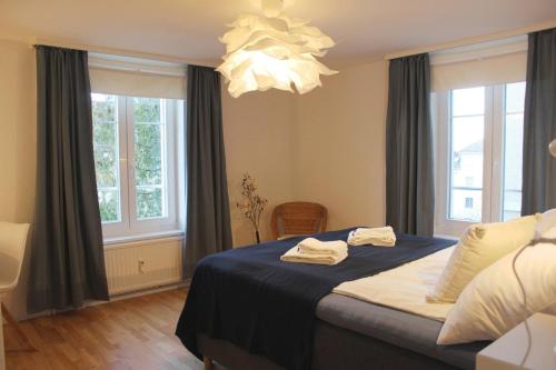 Ένα ή περισσότερα κρεβάτια σε δωμάτιο στο Casa Schilling 2,5 rooms in St Gallen, modern, quiet and close to the center