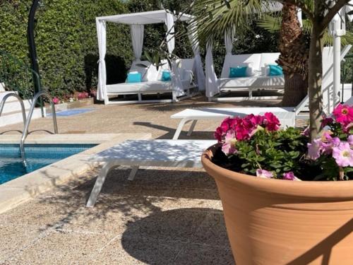 un vaso di fiori seduto accanto a una piscina di The Desmais a Cala Galdana