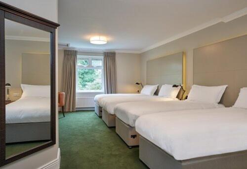 a hotel room with three beds and a mirror at Powerscourt Springs Health Farm in Wicklow