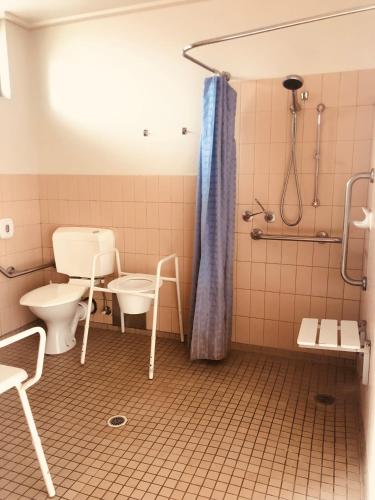 a bathroom with a toilet and a sink at Main Lead Ballarat Motel in Ballarat