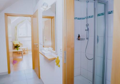 Züfle Hotel Restaurant Spa في سولز أنا نيكار: حمام مع دش مع باب زجاجي