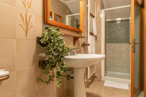 Bathroom sa Flores