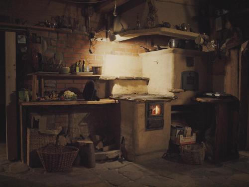 a kitchen with a stove and a brick wall at Horpyna in Krempna