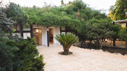 a palm tree in front of a building at The Riders' Experience - Glamping and Attractions Park- Full Board in Bet Oren