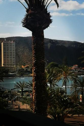 El Carmen beach apartment Sea View - Pool & WIFI , Los Cristianos - first line