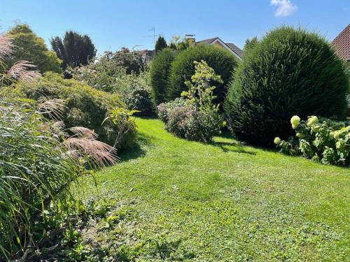 a garden with green grass and bushes at Ferienwohnung mit Terrasse und Garten in Seenähe in Bodman-Ludwigshafen