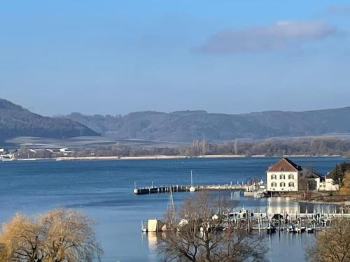 a large body of water with a house and a dock at Ferienwohnung mit Terrasse und Garten in Seenähe in Bodman-Ludwigshafen